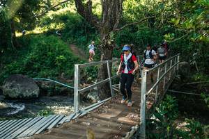 BIB: 
                            <button type="button" onclick="openModal(26702988)" class="btn btn-primary btn-sm float-right btn-popup" data-toggle="modal" data-target=".modal-high-quality">
                        <i class="fas fa-shopping-cart"></i> Add to Cart
                    </button>
                                            <button type="button" onclick="isThisMe(26702988, true)" class="btn btn-success btn-sm float-right btn-popup btn-isme hidden" data-toggle="tooltip" data-placement="bottom" title="นี่คือรูปของคุณใช่ไหม คลิกที่นี่เพื่อเอาเข้าอัลบั้ม">
                        <i class="fas fa-plus"></i> Add to album
                    </button>
                    <button type="button" onclick="isThisMe(26702988, false)" class="btn btn-warning btn-sm float-right btn-popup btn-isnotme hidden">
                        <i class="fas fa-ban"></i> Remove from album
                    </button>