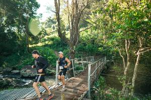 BIB: 
                            <button type="button" onclick="openModal(26708326)" class="btn btn-primary btn-sm float-right btn-popup" data-toggle="modal" data-target=".modal-high-quality">
                        <i class="fas fa-shopping-cart"></i> Add to Cart
                    </button>
                                            <button type="button" onclick="isThisMe(26708326, true)" class="btn btn-success btn-sm float-right btn-popup btn-isme hidden" data-toggle="tooltip" data-placement="bottom" title="นี่คือรูปของคุณใช่ไหม คลิกที่นี่เพื่อเอาเข้าอัลบั้ม">
                        <i class="fas fa-plus"></i> Add to album
                    </button>
                    <button type="button" onclick="isThisMe(26708326, false)" class="btn btn-warning btn-sm float-right btn-popup btn-isnotme hidden">
                        <i class="fas fa-ban"></i> Remove from album
                    </button>