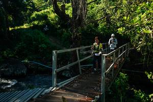 BIB: 
                            <button type="button" onclick="openModal(26729133)" class="btn btn-primary btn-sm float-right btn-popup" data-toggle="modal" data-target=".modal-high-quality">
                        <i class="fas fa-shopping-cart"></i> Add to Cart
                    </button>
                                            <button type="button" onclick="isThisMe(26729133, true)" class="btn btn-success btn-sm float-right btn-popup btn-isme hidden" data-toggle="tooltip" data-placement="bottom" title="นี่คือรูปของคุณใช่ไหม คลิกที่นี่เพื่อเอาเข้าอัลบั้ม">
                        <i class="fas fa-plus"></i> Add to album
                    </button>
                    <button type="button" onclick="isThisMe(26729133, false)" class="btn btn-warning btn-sm float-right btn-popup btn-isnotme hidden">
                        <i class="fas fa-ban"></i> Remove from album
                    </button>