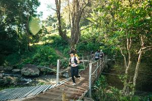 BIB: 
                            <button type="button" onclick="openModal(26706929)" class="btn btn-primary btn-sm float-right btn-popup" data-toggle="modal" data-target=".modal-high-quality">
                        <i class="fas fa-shopping-cart"></i> Add to Cart
                    </button>
                                            <button type="button" onclick="isThisMe(26706929, true)" class="btn btn-success btn-sm float-right btn-popup btn-isme hidden" data-toggle="tooltip" data-placement="bottom" title="นี่คือรูปของคุณใช่ไหม คลิกที่นี่เพื่อเอาเข้าอัลบั้ม">
                        <i class="fas fa-plus"></i> Add to album
                    </button>
                    <button type="button" onclick="isThisMe(26706929, false)" class="btn btn-warning btn-sm float-right btn-popup btn-isnotme hidden">
                        <i class="fas fa-ban"></i> Remove from album
                    </button>