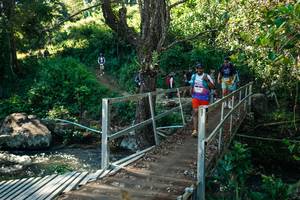 BIB: 
                            <button type="button" onclick="openModal(26717924)" class="btn btn-primary btn-sm float-right btn-popup" data-toggle="modal" data-target=".modal-high-quality">
                        <i class="fas fa-shopping-cart"></i> Add to Cart
                    </button>
                                            <button type="button" onclick="isThisMe(26717924, true)" class="btn btn-success btn-sm float-right btn-popup btn-isme hidden" data-toggle="tooltip" data-placement="bottom" title="นี่คือรูปของคุณใช่ไหม คลิกที่นี่เพื่อเอาเข้าอัลบั้ม">
                        <i class="fas fa-plus"></i> Add to album
                    </button>
                    <button type="button" onclick="isThisMe(26717924, false)" class="btn btn-warning btn-sm float-right btn-popup btn-isnotme hidden">
                        <i class="fas fa-ban"></i> Remove from album
                    </button>