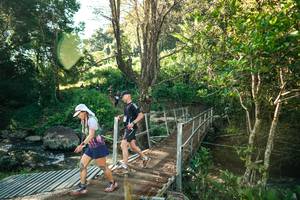 BIB: 
                            <button type="button" onclick="openModal(26707257)" class="btn btn-primary btn-sm float-right btn-popup" data-toggle="modal" data-target=".modal-high-quality">
                        <i class="fas fa-shopping-cart"></i> Add to Cart
                    </button>
                                            <button type="button" onclick="isThisMe(26707257, true)" class="btn btn-success btn-sm float-right btn-popup btn-isme hidden" data-toggle="tooltip" data-placement="bottom" title="นี่คือรูปของคุณใช่ไหม คลิกที่นี่เพื่อเอาเข้าอัลบั้ม">
                        <i class="fas fa-plus"></i> Add to album
                    </button>
                    <button type="button" onclick="isThisMe(26707257, false)" class="btn btn-warning btn-sm float-right btn-popup btn-isnotme hidden">
                        <i class="fas fa-ban"></i> Remove from album
                    </button>