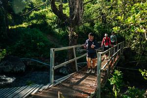 BIB: 
                            <button type="button" onclick="openModal(26730124)" class="btn btn-primary btn-sm float-right btn-popup" data-toggle="modal" data-target=".modal-high-quality">
                        <i class="fas fa-shopping-cart"></i> Add to Cart
                    </button>
                                            <button type="button" onclick="isThisMe(26730124, true)" class="btn btn-success btn-sm float-right btn-popup btn-isme hidden" data-toggle="tooltip" data-placement="bottom" title="นี่คือรูปของคุณใช่ไหม คลิกที่นี่เพื่อเอาเข้าอัลบั้ม">
                        <i class="fas fa-plus"></i> Add to album
                    </button>
                    <button type="button" onclick="isThisMe(26730124, false)" class="btn btn-warning btn-sm float-right btn-popup btn-isnotme hidden">
                        <i class="fas fa-ban"></i> Remove from album
                    </button>