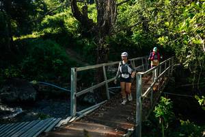 BIB: 
                            <button type="button" onclick="openModal(26729406)" class="btn btn-primary btn-sm float-right btn-popup" data-toggle="modal" data-target=".modal-high-quality">
                        <i class="fas fa-shopping-cart"></i> Add to Cart
                    </button>
                                            <button type="button" onclick="isThisMe(26729406, true)" class="btn btn-success btn-sm float-right btn-popup btn-isme hidden" data-toggle="tooltip" data-placement="bottom" title="นี่คือรูปของคุณใช่ไหม คลิกที่นี่เพื่อเอาเข้าอัลบั้ม">
                        <i class="fas fa-plus"></i> Add to album
                    </button>
                    <button type="button" onclick="isThisMe(26729406, false)" class="btn btn-warning btn-sm float-right btn-popup btn-isnotme hidden">
                        <i class="fas fa-ban"></i> Remove from album
                    </button>