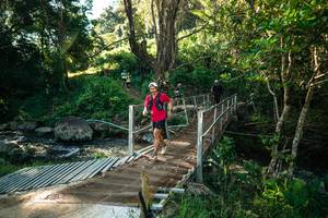 BIB: 
                            <button type="button" onclick="openModal(26704184)" class="btn btn-primary btn-sm float-right btn-popup" data-toggle="modal" data-target=".modal-high-quality">
                        <i class="fas fa-shopping-cart"></i> Add to Cart
                    </button>
                                            <button type="button" onclick="isThisMe(26704184, true)" class="btn btn-success btn-sm float-right btn-popup btn-isme hidden" data-toggle="tooltip" data-placement="bottom" title="นี่คือรูปของคุณใช่ไหม คลิกที่นี่เพื่อเอาเข้าอัลบั้ม">
                        <i class="fas fa-plus"></i> Add to album
                    </button>
                    <button type="button" onclick="isThisMe(26704184, false)" class="btn btn-warning btn-sm float-right btn-popup btn-isnotme hidden">
                        <i class="fas fa-ban"></i> Remove from album
                    </button>