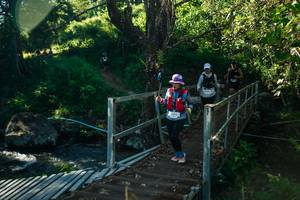 BIB: 
                            <button type="button" onclick="openModal(26724047)" class="btn btn-primary btn-sm float-right btn-popup" data-toggle="modal" data-target=".modal-high-quality">
                        <i class="fas fa-shopping-cart"></i> Add to Cart
                    </button>
                                            <button type="button" onclick="isThisMe(26724047, true)" class="btn btn-success btn-sm float-right btn-popup btn-isme hidden" data-toggle="tooltip" data-placement="bottom" title="นี่คือรูปของคุณใช่ไหม คลิกที่นี่เพื่อเอาเข้าอัลบั้ม">
                        <i class="fas fa-plus"></i> Add to album
                    </button>
                    <button type="button" onclick="isThisMe(26724047, false)" class="btn btn-warning btn-sm float-right btn-popup btn-isnotme hidden">
                        <i class="fas fa-ban"></i> Remove from album
                    </button>