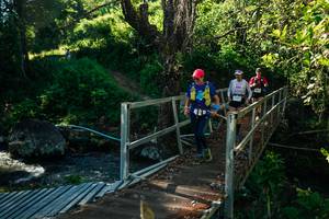 BIB: 
                            <button type="button" onclick="openModal(26727791)" class="btn btn-primary btn-sm float-right btn-popup" data-toggle="modal" data-target=".modal-high-quality">
                        <i class="fas fa-shopping-cart"></i> Add to Cart
                    </button>
                                            <button type="button" onclick="isThisMe(26727791, true)" class="btn btn-success btn-sm float-right btn-popup btn-isme hidden" data-toggle="tooltip" data-placement="bottom" title="นี่คือรูปของคุณใช่ไหม คลิกที่นี่เพื่อเอาเข้าอัลบั้ม">
                        <i class="fas fa-plus"></i> Add to album
                    </button>
                    <button type="button" onclick="isThisMe(26727791, false)" class="btn btn-warning btn-sm float-right btn-popup btn-isnotme hidden">
                        <i class="fas fa-ban"></i> Remove from album
                    </button>