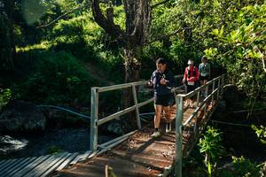 BIB: 
                            <button type="button" onclick="openModal(26730126)" class="btn btn-primary btn-sm float-right btn-popup" data-toggle="modal" data-target=".modal-high-quality">
                        <i class="fas fa-shopping-cart"></i> Add to Cart
                    </button>
                                            <button type="button" onclick="isThisMe(26730126, true)" class="btn btn-success btn-sm float-right btn-popup btn-isme hidden" data-toggle="tooltip" data-placement="bottom" title="นี่คือรูปของคุณใช่ไหม คลิกที่นี่เพื่อเอาเข้าอัลบั้ม">
                        <i class="fas fa-plus"></i> Add to album
                    </button>
                    <button type="button" onclick="isThisMe(26730126, false)" class="btn btn-warning btn-sm float-right btn-popup btn-isnotme hidden">
                        <i class="fas fa-ban"></i> Remove from album
                    </button>