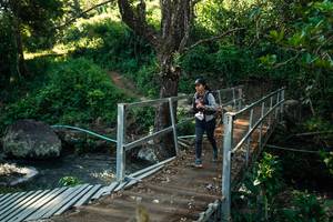 BIB: 
                            <button type="button" onclick="openModal(26701682)" class="btn btn-primary btn-sm float-right btn-popup" data-toggle="modal" data-target=".modal-high-quality">
                        <i class="fas fa-shopping-cart"></i> Add to Cart
                    </button>
                                            <button type="button" onclick="isThisMe(26701682, true)" class="btn btn-success btn-sm float-right btn-popup btn-isme hidden" data-toggle="tooltip" data-placement="bottom" title="นี่คือรูปของคุณใช่ไหม คลิกที่นี่เพื่อเอาเข้าอัลบั้ม">
                        <i class="fas fa-plus"></i> Add to album
                    </button>
                    <button type="button" onclick="isThisMe(26701682, false)" class="btn btn-warning btn-sm float-right btn-popup btn-isnotme hidden">
                        <i class="fas fa-ban"></i> Remove from album
                    </button>