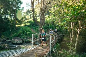 BIB: 
                            <button type="button" onclick="openModal(26707717)" class="btn btn-primary btn-sm float-right btn-popup" data-toggle="modal" data-target=".modal-high-quality">
                        <i class="fas fa-shopping-cart"></i> Add to Cart
                    </button>
                                            <button type="button" onclick="isThisMe(26707717, true)" class="btn btn-success btn-sm float-right btn-popup btn-isme hidden" data-toggle="tooltip" data-placement="bottom" title="นี่คือรูปของคุณใช่ไหม คลิกที่นี่เพื่อเอาเข้าอัลบั้ม">
                        <i class="fas fa-plus"></i> Add to album
                    </button>
                    <button type="button" onclick="isThisMe(26707717, false)" class="btn btn-warning btn-sm float-right btn-popup btn-isnotme hidden">
                        <i class="fas fa-ban"></i> Remove from album
                    </button>