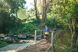 BIB: 
                            <button type="button" onclick="openModal(26708460)" class="btn btn-primary btn-sm float-right btn-popup" data-toggle="modal" data-target=".modal-high-quality">
                        <i class="fas fa-shopping-cart"></i> Add to Cart
                    </button>
                                            <button type="button" onclick="isThisMe(26708460, true)" class="btn btn-success btn-sm float-right btn-popup btn-isme hidden" data-toggle="tooltip" data-placement="bottom" title="นี่คือรูปของคุณใช่ไหม คลิกที่นี่เพื่อเอาเข้าอัลบั้ม">
                        <i class="fas fa-plus"></i> Add to album
                    </button>
                    <button type="button" onclick="isThisMe(26708460, false)" class="btn btn-warning btn-sm float-right btn-popup btn-isnotme hidden">
                        <i class="fas fa-ban"></i> Remove from album
                    </button>