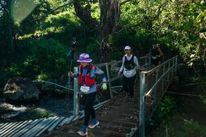 BIB: 
                            <button type="button" onclick="openModal(26724103)" class="btn btn-primary btn-sm float-right btn-popup" data-toggle="modal" data-target=".modal-high-quality">
                        <i class="fas fa-shopping-cart"></i> Add to Cart
                    </button>
                                            <button type="button" onclick="isThisMe(26724103, true)" class="btn btn-success btn-sm float-right btn-popup btn-isme hidden" data-toggle="tooltip" data-placement="bottom" title="นี่คือรูปของคุณใช่ไหม คลิกที่นี่เพื่อเอาเข้าอัลบั้ม">
                        <i class="fas fa-plus"></i> Add to album
                    </button>
                    <button type="button" onclick="isThisMe(26724103, false)" class="btn btn-warning btn-sm float-right btn-popup btn-isnotme hidden">
                        <i class="fas fa-ban"></i> Remove from album
                    </button>