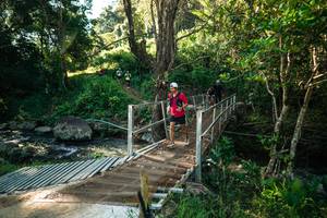 BIB: 
                            <button type="button" onclick="openModal(26704173)" class="btn btn-primary btn-sm float-right btn-popup" data-toggle="modal" data-target=".modal-high-quality">
                        <i class="fas fa-shopping-cart"></i> Add to Cart
                    </button>
                                            <button type="button" onclick="isThisMe(26704173, true)" class="btn btn-success btn-sm float-right btn-popup btn-isme hidden" data-toggle="tooltip" data-placement="bottom" title="นี่คือรูปของคุณใช่ไหม คลิกที่นี่เพื่อเอาเข้าอัลบั้ม">
                        <i class="fas fa-plus"></i> Add to album
                    </button>
                    <button type="button" onclick="isThisMe(26704173, false)" class="btn btn-warning btn-sm float-right btn-popup btn-isnotme hidden">
                        <i class="fas fa-ban"></i> Remove from album
                    </button>