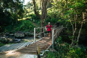 BIB: 
                            <button type="button" onclick="openModal(26704111)" class="btn btn-primary btn-sm float-right btn-popup" data-toggle="modal" data-target=".modal-high-quality">
                        <i class="fas fa-shopping-cart"></i> Add to Cart
                    </button>
                                            <button type="button" onclick="isThisMe(26704111, true)" class="btn btn-success btn-sm float-right btn-popup btn-isme hidden" data-toggle="tooltip" data-placement="bottom" title="นี่คือรูปของคุณใช่ไหม คลิกที่นี่เพื่อเอาเข้าอัลบั้ม">
                        <i class="fas fa-plus"></i> Add to album
                    </button>
                    <button type="button" onclick="isThisMe(26704111, false)" class="btn btn-warning btn-sm float-right btn-popup btn-isnotme hidden">
                        <i class="fas fa-ban"></i> Remove from album
                    </button>