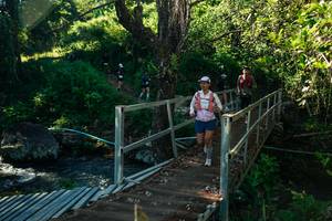 BIB: 
                            <button type="button" onclick="openModal(26726470)" class="btn btn-primary btn-sm float-right btn-popup" data-toggle="modal" data-target=".modal-high-quality">
                        <i class="fas fa-shopping-cart"></i> Add to Cart
                    </button>
                                            <button type="button" onclick="isThisMe(26726470, true)" class="btn btn-success btn-sm float-right btn-popup btn-isme hidden" data-toggle="tooltip" data-placement="bottom" title="นี่คือรูปของคุณใช่ไหม คลิกที่นี่เพื่อเอาเข้าอัลบั้ม">
                        <i class="fas fa-plus"></i> Add to album
                    </button>
                    <button type="button" onclick="isThisMe(26726470, false)" class="btn btn-warning btn-sm float-right btn-popup btn-isnotme hidden">
                        <i class="fas fa-ban"></i> Remove from album
                    </button>