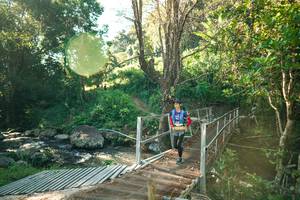 BIB: 
                            <button type="button" onclick="openModal(26708584)" class="btn btn-primary btn-sm float-right btn-popup" data-toggle="modal" data-target=".modal-high-quality">
                        <i class="fas fa-shopping-cart"></i> Add to Cart
                    </button>
                                            <button type="button" onclick="isThisMe(26708584, true)" class="btn btn-success btn-sm float-right btn-popup btn-isme hidden" data-toggle="tooltip" data-placement="bottom" title="นี่คือรูปของคุณใช่ไหม คลิกที่นี่เพื่อเอาเข้าอัลบั้ม">
                        <i class="fas fa-plus"></i> Add to album
                    </button>
                    <button type="button" onclick="isThisMe(26708584, false)" class="btn btn-warning btn-sm float-right btn-popup btn-isnotme hidden">
                        <i class="fas fa-ban"></i> Remove from album
                    </button>