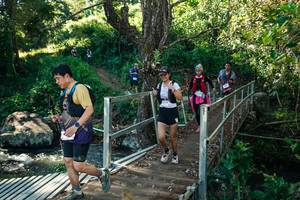 BIB: 
                            <button type="button" onclick="openModal(26720061)" class="btn btn-primary btn-sm float-right btn-popup" data-toggle="modal" data-target=".modal-high-quality">
                        <i class="fas fa-shopping-cart"></i> Add to Cart
                    </button>
                                            <button type="button" onclick="isThisMe(26720061, true)" class="btn btn-success btn-sm float-right btn-popup btn-isme hidden" data-toggle="tooltip" data-placement="bottom" title="นี่คือรูปของคุณใช่ไหม คลิกที่นี่เพื่อเอาเข้าอัลบั้ม">
                        <i class="fas fa-plus"></i> Add to album
                    </button>
                    <button type="button" onclick="isThisMe(26720061, false)" class="btn btn-warning btn-sm float-right btn-popup btn-isnotme hidden">
                        <i class="fas fa-ban"></i> Remove from album
                    </button>