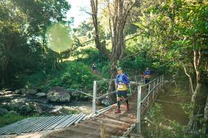 BIB: 
                            <button type="button" onclick="openModal(26708477)" class="btn btn-primary btn-sm float-right btn-popup" data-toggle="modal" data-target=".modal-high-quality">
                        <i class="fas fa-shopping-cart"></i> Add to Cart
                    </button>
                                            <button type="button" onclick="isThisMe(26708477, true)" class="btn btn-success btn-sm float-right btn-popup btn-isme hidden" data-toggle="tooltip" data-placement="bottom" title="นี่คือรูปของคุณใช่ไหม คลิกที่นี่เพื่อเอาเข้าอัลบั้ม">
                        <i class="fas fa-plus"></i> Add to album
                    </button>
                    <button type="button" onclick="isThisMe(26708477, false)" class="btn btn-warning btn-sm float-right btn-popup btn-isnotme hidden">
                        <i class="fas fa-ban"></i> Remove from album
                    </button>