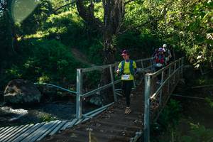 BIB: 
                            <button type="button" onclick="openModal(26724020)" class="btn btn-primary btn-sm float-right btn-popup" data-toggle="modal" data-target=".modal-high-quality">
                        <i class="fas fa-shopping-cart"></i> Add to Cart
                    </button>
                                            <button type="button" onclick="isThisMe(26724020, true)" class="btn btn-success btn-sm float-right btn-popup btn-isme hidden" data-toggle="tooltip" data-placement="bottom" title="นี่คือรูปของคุณใช่ไหม คลิกที่นี่เพื่อเอาเข้าอัลบั้ม">
                        <i class="fas fa-plus"></i> Add to album
                    </button>
                    <button type="button" onclick="isThisMe(26724020, false)" class="btn btn-warning btn-sm float-right btn-popup btn-isnotme hidden">
                        <i class="fas fa-ban"></i> Remove from album
                    </button>