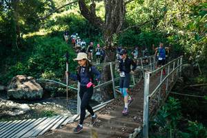 BIB: 
                            <button type="button" onclick="openModal(26714658)" class="btn btn-primary btn-sm float-right btn-popup" data-toggle="modal" data-target=".modal-high-quality">
                        <i class="fas fa-shopping-cart"></i> Add to Cart
                    </button>
                                            <button type="button" onclick="isThisMe(26714658, true)" class="btn btn-success btn-sm float-right btn-popup btn-isme hidden" data-toggle="tooltip" data-placement="bottom" title="นี่คือรูปของคุณใช่ไหม คลิกที่นี่เพื่อเอาเข้าอัลบั้ม">
                        <i class="fas fa-plus"></i> Add to album
                    </button>
                    <button type="button" onclick="isThisMe(26714658, false)" class="btn btn-warning btn-sm float-right btn-popup btn-isnotme hidden">
                        <i class="fas fa-ban"></i> Remove from album
                    </button>