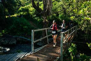 BIB: 
                            <button type="button" onclick="openModal(26729729)" class="btn btn-primary btn-sm float-right btn-popup" data-toggle="modal" data-target=".modal-high-quality">
                        <i class="fas fa-shopping-cart"></i> Add to Cart
                    </button>
                                            <button type="button" onclick="isThisMe(26729729, true)" class="btn btn-success btn-sm float-right btn-popup btn-isme hidden" data-toggle="tooltip" data-placement="bottom" title="นี่คือรูปของคุณใช่ไหม คลิกที่นี่เพื่อเอาเข้าอัลบั้ม">
                        <i class="fas fa-plus"></i> Add to album
                    </button>
                    <button type="button" onclick="isThisMe(26729729, false)" class="btn btn-warning btn-sm float-right btn-popup btn-isnotme hidden">
                        <i class="fas fa-ban"></i> Remove from album
                    </button>