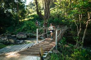 BIB: 
                            <button type="button" onclick="openModal(26705638)" class="btn btn-primary btn-sm float-right btn-popup" data-toggle="modal" data-target=".modal-high-quality">
                        <i class="fas fa-shopping-cart"></i> Add to Cart
                    </button>
                                            <button type="button" onclick="isThisMe(26705638, true)" class="btn btn-success btn-sm float-right btn-popup btn-isme hidden" data-toggle="tooltip" data-placement="bottom" title="นี่คือรูปของคุณใช่ไหม คลิกที่นี่เพื่อเอาเข้าอัลบั้ม">
                        <i class="fas fa-plus"></i> Add to album
                    </button>
                    <button type="button" onclick="isThisMe(26705638, false)" class="btn btn-warning btn-sm float-right btn-popup btn-isnotme hidden">
                        <i class="fas fa-ban"></i> Remove from album
                    </button>