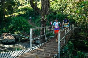 BIB: 
                            <button type="button" onclick="openModal(26718502)" class="btn btn-primary btn-sm float-right btn-popup" data-toggle="modal" data-target=".modal-high-quality">
                        <i class="fas fa-shopping-cart"></i> Add to Cart
                    </button>
                                            <button type="button" onclick="isThisMe(26718502, true)" class="btn btn-success btn-sm float-right btn-popup btn-isme hidden" data-toggle="tooltip" data-placement="bottom" title="นี่คือรูปของคุณใช่ไหม คลิกที่นี่เพื่อเอาเข้าอัลบั้ม">
                        <i class="fas fa-plus"></i> Add to album
                    </button>
                    <button type="button" onclick="isThisMe(26718502, false)" class="btn btn-warning btn-sm float-right btn-popup btn-isnotme hidden">
                        <i class="fas fa-ban"></i> Remove from album
                    </button>