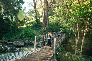 BIB: 
                            <button type="button" onclick="openModal(26706860)" class="btn btn-primary btn-sm float-right btn-popup" data-toggle="modal" data-target=".modal-high-quality">
                        <i class="fas fa-shopping-cart"></i> Add to Cart
                    </button>
                                            <button type="button" onclick="isThisMe(26706860, true)" class="btn btn-success btn-sm float-right btn-popup btn-isme hidden" data-toggle="tooltip" data-placement="bottom" title="นี่คือรูปของคุณใช่ไหม คลิกที่นี่เพื่อเอาเข้าอัลบั้ม">
                        <i class="fas fa-plus"></i> Add to album
                    </button>
                    <button type="button" onclick="isThisMe(26706860, false)" class="btn btn-warning btn-sm float-right btn-popup btn-isnotme hidden">
                        <i class="fas fa-ban"></i> Remove from album
                    </button>