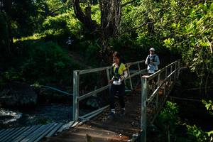 BIB: 
                            <button type="button" onclick="openModal(26729147)" class="btn btn-primary btn-sm float-right btn-popup" data-toggle="modal" data-target=".modal-high-quality">
                        <i class="fas fa-shopping-cart"></i> Add to Cart
                    </button>
                                            <button type="button" onclick="isThisMe(26729147, true)" class="btn btn-success btn-sm float-right btn-popup btn-isme hidden" data-toggle="tooltip" data-placement="bottom" title="นี่คือรูปของคุณใช่ไหม คลิกที่นี่เพื่อเอาเข้าอัลบั้ม">
                        <i class="fas fa-plus"></i> Add to album
                    </button>
                    <button type="button" onclick="isThisMe(26729147, false)" class="btn btn-warning btn-sm float-right btn-popup btn-isnotme hidden">
                        <i class="fas fa-ban"></i> Remove from album
                    </button>