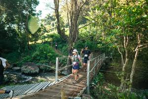 BIB: 
                            <button type="button" onclick="openModal(26707168)" class="btn btn-primary btn-sm float-right btn-popup" data-toggle="modal" data-target=".modal-high-quality">
                        <i class="fas fa-shopping-cart"></i> Add to Cart
                    </button>
                                            <button type="button" onclick="isThisMe(26707168, true)" class="btn btn-success btn-sm float-right btn-popup btn-isme hidden" data-toggle="tooltip" data-placement="bottom" title="นี่คือรูปของคุณใช่ไหม คลิกที่นี่เพื่อเอาเข้าอัลบั้ม">
                        <i class="fas fa-plus"></i> Add to album
                    </button>
                    <button type="button" onclick="isThisMe(26707168, false)" class="btn btn-warning btn-sm float-right btn-popup btn-isnotme hidden">
                        <i class="fas fa-ban"></i> Remove from album
                    </button>