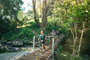 BIB: 
                            <button type="button" onclick="openModal(26707875)" class="btn btn-primary btn-sm float-right btn-popup" data-toggle="modal" data-target=".modal-high-quality">
                        <i class="fas fa-shopping-cart"></i> Add to Cart
                    </button>
                                            <button type="button" onclick="isThisMe(26707875, true)" class="btn btn-success btn-sm float-right btn-popup btn-isme hidden" data-toggle="tooltip" data-placement="bottom" title="นี่คือรูปของคุณใช่ไหม คลิกที่นี่เพื่อเอาเข้าอัลบั้ม">
                        <i class="fas fa-plus"></i> Add to album
                    </button>
                    <button type="button" onclick="isThisMe(26707875, false)" class="btn btn-warning btn-sm float-right btn-popup btn-isnotme hidden">
                        <i class="fas fa-ban"></i> Remove from album
                    </button>