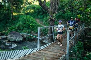 BIB: 
                            <button type="button" onclick="openModal(26638595)" class="btn btn-primary btn-sm float-right btn-popup" data-toggle="modal" data-target=".modal-high-quality">
                        <i class="fas fa-shopping-cart"></i> Add to Cart
                    </button>
                                            <button type="button" onclick="isThisMe(26638595, true)" class="btn btn-success btn-sm float-right btn-popup btn-isme hidden" data-toggle="tooltip" data-placement="bottom" title="นี่คือรูปของคุณใช่ไหม คลิกที่นี่เพื่อเอาเข้าอัลบั้ม">
                        <i class="fas fa-plus"></i> Add to album
                    </button>
                    <button type="button" onclick="isThisMe(26638595, false)" class="btn btn-warning btn-sm float-right btn-popup btn-isnotme hidden">
                        <i class="fas fa-ban"></i> Remove from album
                    </button>