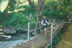 BIB: 
                            <button type="button" onclick="openModal(26678867)" class="btn btn-primary btn-sm float-right btn-popup" data-toggle="modal" data-target=".modal-high-quality">
                        <i class="fas fa-shopping-cart"></i> Add to Cart
                    </button>
                                            <button type="button" onclick="isThisMe(26678867, true)" class="btn btn-success btn-sm float-right btn-popup btn-isme hidden" data-toggle="tooltip" data-placement="bottom" title="นี่คือรูปของคุณใช่ไหม คลิกที่นี่เพื่อเอาเข้าอัลบั้ม">
                        <i class="fas fa-plus"></i> Add to album
                    </button>
                    <button type="button" onclick="isThisMe(26678867, false)" class="btn btn-warning btn-sm float-right btn-popup btn-isnotme hidden">
                        <i class="fas fa-ban"></i> Remove from album
                    </button>