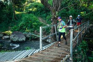 BIB: 
                            <button type="button" onclick="openModal(26627012)" class="btn btn-primary btn-sm float-right btn-popup" data-toggle="modal" data-target=".modal-high-quality">
                        <i class="fas fa-shopping-cart"></i> Add to Cart
                    </button>
                                            <button type="button" onclick="isThisMe(26627012, true)" class="btn btn-success btn-sm float-right btn-popup btn-isme hidden" data-toggle="tooltip" data-placement="bottom" title="นี่คือรูปของคุณใช่ไหม คลิกที่นี่เพื่อเอาเข้าอัลบั้ม">
                        <i class="fas fa-plus"></i> Add to album
                    </button>
                    <button type="button" onclick="isThisMe(26627012, false)" class="btn btn-warning btn-sm float-right btn-popup btn-isnotme hidden">
                        <i class="fas fa-ban"></i> Remove from album
                    </button>