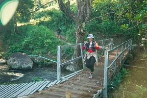 BIB: 
                            <button type="button" onclick="openModal(26678888)" class="btn btn-primary btn-sm float-right btn-popup" data-toggle="modal" data-target=".modal-high-quality">
                        <i class="fas fa-shopping-cart"></i> Add to Cart
                    </button>
                                            <button type="button" onclick="isThisMe(26678888, true)" class="btn btn-success btn-sm float-right btn-popup btn-isme hidden" data-toggle="tooltip" data-placement="bottom" title="นี่คือรูปของคุณใช่ไหม คลิกที่นี่เพื่อเอาเข้าอัลบั้ม">
                        <i class="fas fa-plus"></i> Add to album
                    </button>
                    <button type="button" onclick="isThisMe(26678888, false)" class="btn btn-warning btn-sm float-right btn-popup btn-isnotme hidden">
                        <i class="fas fa-ban"></i> Remove from album
                    </button>