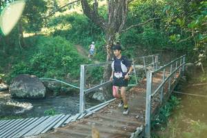 BIB: 
                            <button type="button" onclick="openModal(26678878)" class="btn btn-primary btn-sm float-right btn-popup" data-toggle="modal" data-target=".modal-high-quality">
                        <i class="fas fa-shopping-cart"></i> Add to Cart
                    </button>
                                            <button type="button" onclick="isThisMe(26678878, true)" class="btn btn-success btn-sm float-right btn-popup btn-isme hidden" data-toggle="tooltip" data-placement="bottom" title="นี่คือรูปของคุณใช่ไหม คลิกที่นี่เพื่อเอาเข้าอัลบั้ม">
                        <i class="fas fa-plus"></i> Add to album
                    </button>
                    <button type="button" onclick="isThisMe(26678878, false)" class="btn btn-warning btn-sm float-right btn-popup btn-isnotme hidden">
                        <i class="fas fa-ban"></i> Remove from album
                    </button>