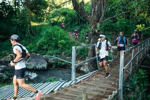 BIB: 
                            <button type="button" onclick="openModal(26633804)" class="btn btn-primary btn-sm float-right btn-popup" data-toggle="modal" data-target=".modal-high-quality">
                        <i class="fas fa-shopping-cart"></i> Add to Cart
                    </button>
                                            <button type="button" onclick="isThisMe(26633804, true)" class="btn btn-success btn-sm float-right btn-popup btn-isme hidden" data-toggle="tooltip" data-placement="bottom" title="นี่คือรูปของคุณใช่ไหม คลิกที่นี่เพื่อเอาเข้าอัลบั้ม">
                        <i class="fas fa-plus"></i> Add to album
                    </button>
                    <button type="button" onclick="isThisMe(26633804, false)" class="btn btn-warning btn-sm float-right btn-popup btn-isnotme hidden">
                        <i class="fas fa-ban"></i> Remove from album
                    </button>