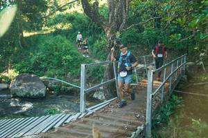 BIB: 
                            <button type="button" onclick="openModal(26675419)" class="btn btn-primary btn-sm float-right btn-popup" data-toggle="modal" data-target=".modal-high-quality">
                        <i class="fas fa-shopping-cart"></i> Add to Cart
                    </button>
                                            <button type="button" onclick="isThisMe(26675419, true)" class="btn btn-success btn-sm float-right btn-popup btn-isme hidden" data-toggle="tooltip" data-placement="bottom" title="นี่คือรูปของคุณใช่ไหม คลิกที่นี่เพื่อเอาเข้าอัลบั้ม">
                        <i class="fas fa-plus"></i> Add to album
                    </button>
                    <button type="button" onclick="isThisMe(26675419, false)" class="btn btn-warning btn-sm float-right btn-popup btn-isnotme hidden">
                        <i class="fas fa-ban"></i> Remove from album
                    </button>