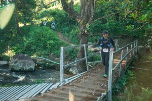 BIB: 
                            <button type="button" onclick="openModal(26674233)" class="btn btn-primary btn-sm float-right btn-popup" data-toggle="modal" data-target=".modal-high-quality">
                        <i class="fas fa-shopping-cart"></i> Add to Cart
                    </button>
                                            <button type="button" onclick="isThisMe(26674233, true)" class="btn btn-success btn-sm float-right btn-popup btn-isme hidden" data-toggle="tooltip" data-placement="bottom" title="นี่คือรูปของคุณใช่ไหม คลิกที่นี่เพื่อเอาเข้าอัลบั้ม">
                        <i class="fas fa-plus"></i> Add to album
                    </button>
                    <button type="button" onclick="isThisMe(26674233, false)" class="btn btn-warning btn-sm float-right btn-popup btn-isnotme hidden">
                        <i class="fas fa-ban"></i> Remove from album
                    </button>