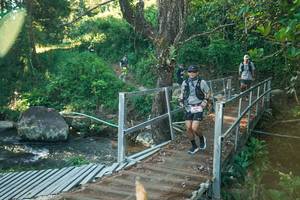 BIB: 
                            <button type="button" onclick="openModal(26672919)" class="btn btn-primary btn-sm float-right btn-popup" data-toggle="modal" data-target=".modal-high-quality">
                        <i class="fas fa-shopping-cart"></i> Add to Cart
                    </button>
                                            <button type="button" onclick="isThisMe(26672919, true)" class="btn btn-success btn-sm float-right btn-popup btn-isme hidden" data-toggle="tooltip" data-placement="bottom" title="นี่คือรูปของคุณใช่ไหม คลิกที่นี่เพื่อเอาเข้าอัลบั้ม">
                        <i class="fas fa-plus"></i> Add to album
                    </button>
                    <button type="button" onclick="isThisMe(26672919, false)" class="btn btn-warning btn-sm float-right btn-popup btn-isnotme hidden">
                        <i class="fas fa-ban"></i> Remove from album
                    </button>