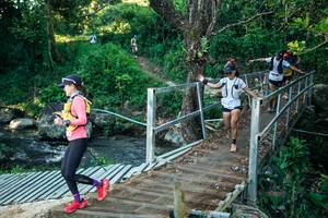 BIB: 
                            <button type="button" onclick="openModal(26634468)" class="btn btn-primary btn-sm float-right btn-popup" data-toggle="modal" data-target=".modal-high-quality">
                        <i class="fas fa-shopping-cart"></i> Add to Cart
                    </button>
                                            <button type="button" onclick="isThisMe(26634468, true)" class="btn btn-success btn-sm float-right btn-popup btn-isme hidden" data-toggle="tooltip" data-placement="bottom" title="นี่คือรูปของคุณใช่ไหม คลิกที่นี่เพื่อเอาเข้าอัลบั้ม">
                        <i class="fas fa-plus"></i> Add to album
                    </button>
                    <button type="button" onclick="isThisMe(26634468, false)" class="btn btn-warning btn-sm float-right btn-popup btn-isnotme hidden">
                        <i class="fas fa-ban"></i> Remove from album
                    </button>