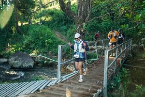 BIB: 
                            <button type="button" onclick="openModal(26670239)" class="btn btn-primary btn-sm float-right btn-popup" data-toggle="modal" data-target=".modal-high-quality">
                        <i class="fas fa-shopping-cart"></i> Add to Cart
                    </button>
                                            <button type="button" onclick="isThisMe(26670239, true)" class="btn btn-success btn-sm float-right btn-popup btn-isme hidden" data-toggle="tooltip" data-placement="bottom" title="นี่คือรูปของคุณใช่ไหม คลิกที่นี่เพื่อเอาเข้าอัลบั้ม">
                        <i class="fas fa-plus"></i> Add to album
                    </button>
                    <button type="button" onclick="isThisMe(26670239, false)" class="btn btn-warning btn-sm float-right btn-popup btn-isnotme hidden">
                        <i class="fas fa-ban"></i> Remove from album
                    </button>