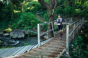 BIB: 
                            <button type="button" onclick="openModal(26625928)" class="btn btn-primary btn-sm float-right btn-popup" data-toggle="modal" data-target=".modal-high-quality">
                        <i class="fas fa-shopping-cart"></i> Add to Cart
                    </button>
                                            <button type="button" onclick="isThisMe(26625928, true)" class="btn btn-success btn-sm float-right btn-popup btn-isme hidden" data-toggle="tooltip" data-placement="bottom" title="นี่คือรูปของคุณใช่ไหม คลิกที่นี่เพื่อเอาเข้าอัลบั้ม">
                        <i class="fas fa-plus"></i> Add to album
                    </button>
                    <button type="button" onclick="isThisMe(26625928, false)" class="btn btn-warning btn-sm float-right btn-popup btn-isnotme hidden">
                        <i class="fas fa-ban"></i> Remove from album
                    </button>