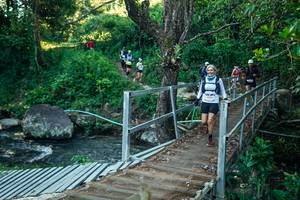 BIB: 
                            <button type="button" onclick="openModal(26638320)" class="btn btn-primary btn-sm float-right btn-popup" data-toggle="modal" data-target=".modal-high-quality">
                        <i class="fas fa-shopping-cart"></i> Add to Cart
                    </button>
                                            <button type="button" onclick="isThisMe(26638320, true)" class="btn btn-success btn-sm float-right btn-popup btn-isme hidden" data-toggle="tooltip" data-placement="bottom" title="นี่คือรูปของคุณใช่ไหม คลิกที่นี่เพื่อเอาเข้าอัลบั้ม">
                        <i class="fas fa-plus"></i> Add to album
                    </button>
                    <button type="button" onclick="isThisMe(26638320, false)" class="btn btn-warning btn-sm float-right btn-popup btn-isnotme hidden">
                        <i class="fas fa-ban"></i> Remove from album
                    </button>