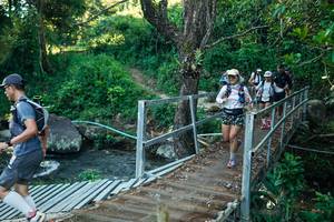 BIB: 
                            <button type="button" onclick="openModal(26644661)" class="btn btn-primary btn-sm float-right btn-popup" data-toggle="modal" data-target=".modal-high-quality">
                        <i class="fas fa-shopping-cart"></i> Add to Cart
                    </button>
                                            <button type="button" onclick="isThisMe(26644661, true)" class="btn btn-success btn-sm float-right btn-popup btn-isme hidden" data-toggle="tooltip" data-placement="bottom" title="นี่คือรูปของคุณใช่ไหม คลิกที่นี่เพื่อเอาเข้าอัลบั้ม">
                        <i class="fas fa-plus"></i> Add to album
                    </button>
                    <button type="button" onclick="isThisMe(26644661, false)" class="btn btn-warning btn-sm float-right btn-popup btn-isnotme hidden">
                        <i class="fas fa-ban"></i> Remove from album
                    </button>