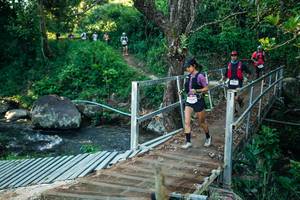 BIB: 
                            <button type="button" onclick="openModal(26634125)" class="btn btn-primary btn-sm float-right btn-popup" data-toggle="modal" data-target=".modal-high-quality">
                        <i class="fas fa-shopping-cart"></i> Add to Cart
                    </button>
                                            <button type="button" onclick="isThisMe(26634125, true)" class="btn btn-success btn-sm float-right btn-popup btn-isme hidden" data-toggle="tooltip" data-placement="bottom" title="นี่คือรูปของคุณใช่ไหม คลิกที่นี่เพื่อเอาเข้าอัลบั้ม">
                        <i class="fas fa-plus"></i> Add to album
                    </button>
                    <button type="button" onclick="isThisMe(26634125, false)" class="btn btn-warning btn-sm float-right btn-popup btn-isnotme hidden">
                        <i class="fas fa-ban"></i> Remove from album
                    </button>