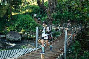 BIB: 
                            <button type="button" onclick="openModal(26667107)" class="btn btn-primary btn-sm float-right btn-popup" data-toggle="modal" data-target=".modal-high-quality">
                        <i class="fas fa-shopping-cart"></i> Add to Cart
                    </button>
                                            <button type="button" onclick="isThisMe(26667107, true)" class="btn btn-success btn-sm float-right btn-popup btn-isme hidden" data-toggle="tooltip" data-placement="bottom" title="นี่คือรูปของคุณใช่ไหม คลิกที่นี่เพื่อเอาเข้าอัลบั้ม">
                        <i class="fas fa-plus"></i> Add to album
                    </button>
                    <button type="button" onclick="isThisMe(26667107, false)" class="btn btn-warning btn-sm float-right btn-popup btn-isnotme hidden">
                        <i class="fas fa-ban"></i> Remove from album
                    </button>