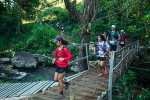 BIB: 
                            <button type="button" onclick="openModal(26641164)" class="btn btn-primary btn-sm float-right btn-popup" data-toggle="modal" data-target=".modal-high-quality">
                        <i class="fas fa-shopping-cart"></i> Add to Cart
                    </button>
                                            <button type="button" onclick="isThisMe(26641164, true)" class="btn btn-success btn-sm float-right btn-popup btn-isme hidden" data-toggle="tooltip" data-placement="bottom" title="นี่คือรูปของคุณใช่ไหม คลิกที่นี่เพื่อเอาเข้าอัลบั้ม">
                        <i class="fas fa-plus"></i> Add to album
                    </button>
                    <button type="button" onclick="isThisMe(26641164, false)" class="btn btn-warning btn-sm float-right btn-popup btn-isnotme hidden">
                        <i class="fas fa-ban"></i> Remove from album
                    </button>