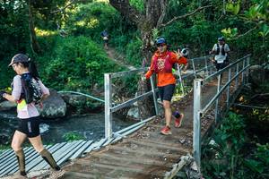 BIB: 
                            <button type="button" onclick="openModal(26625980)" class="btn btn-primary btn-sm float-right btn-popup" data-toggle="modal" data-target=".modal-high-quality">
                        <i class="fas fa-shopping-cart"></i> Add to Cart
                    </button>
                                            <button type="button" onclick="isThisMe(26625980, true)" class="btn btn-success btn-sm float-right btn-popup btn-isme hidden" data-toggle="tooltip" data-placement="bottom" title="นี่คือรูปของคุณใช่ไหม คลิกที่นี่เพื่อเอาเข้าอัลบั้ม">
                        <i class="fas fa-plus"></i> Add to album
                    </button>
                    <button type="button" onclick="isThisMe(26625980, false)" class="btn btn-warning btn-sm float-right btn-popup btn-isnotme hidden">
                        <i class="fas fa-ban"></i> Remove from album
                    </button>