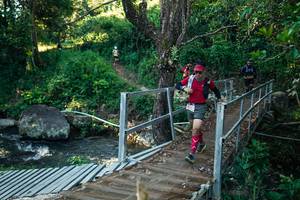 BIB: 
                            <button type="button" onclick="openModal(26662031)" class="btn btn-primary btn-sm float-right btn-popup" data-toggle="modal" data-target=".modal-high-quality">
                        <i class="fas fa-shopping-cart"></i> Add to Cart
                    </button>
                                            <button type="button" onclick="isThisMe(26662031, true)" class="btn btn-success btn-sm float-right btn-popup btn-isme hidden" data-toggle="tooltip" data-placement="bottom" title="นี่คือรูปของคุณใช่ไหม คลิกที่นี่เพื่อเอาเข้าอัลบั้ม">
                        <i class="fas fa-plus"></i> Add to album
                    </button>
                    <button type="button" onclick="isThisMe(26662031, false)" class="btn btn-warning btn-sm float-right btn-popup btn-isnotme hidden">
                        <i class="fas fa-ban"></i> Remove from album
                    </button>